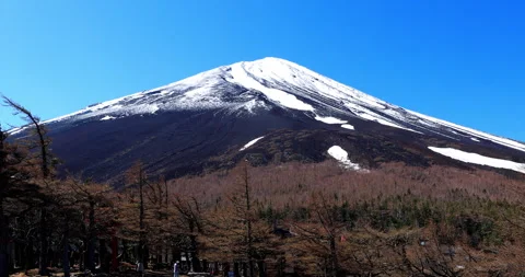 Mount Fuji 動画素材 295757410
