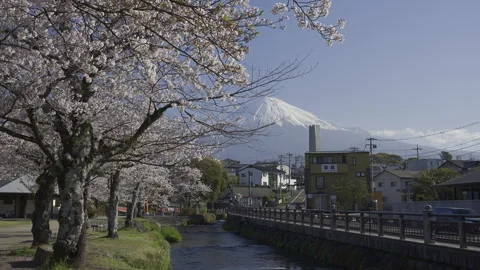 Mount Fuji Framed by Cherry Branches Above the Kanda River Vídeos de archivo 348256429