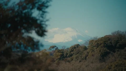 Mount Fuji Framed by Trees at Hansobo Shrine, Kamakura, Japan Stock Footage 344034273