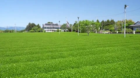 Mount Fuji Over Green Tea Plantation in Fuji City, Shizuoka, Japan 스톡 동영상 340827678