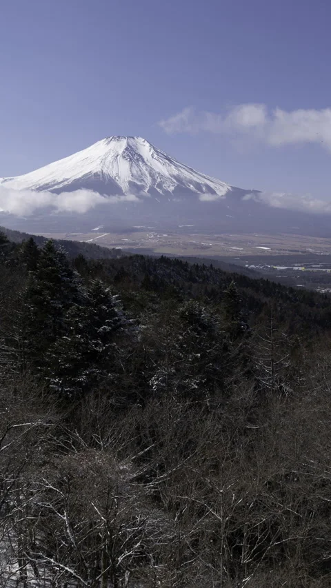 Mount Fuji over Snowy Forest in Winter (Vertical | Time-Lapse | Static) Stock Footage 332774767