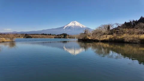 Mount Fuji Reflection on Tranquil Lake Tanuki Stock Footage 333538562