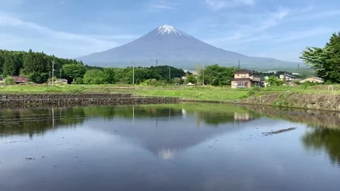 Mount Fuji With Reflection in Water Stock Footage 302605105