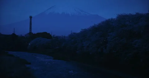 Mount Fuji Snow Cap With Cherry Blossom River Bank And Lattice Tower Pre-Dawn 스톡 동영상 344688727