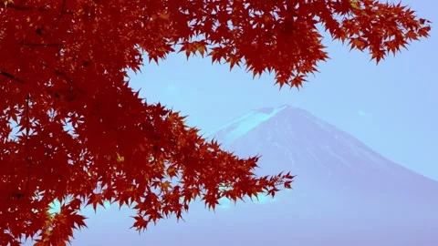 Mount Fuji snowy peak framed by vibrant red autumn maple tree leaves Stock Footage 345861742