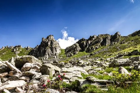 Mount Gaver in summer time Stock Photos