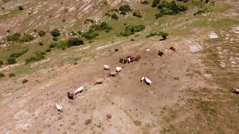 Mount Guadagnolo Vidéo 159161457