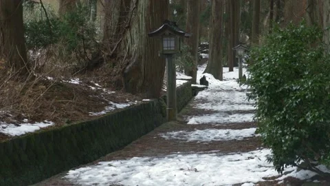 Mount Haguro Path 库存影片 149004314