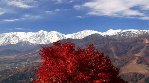 Mount Hakuba and the Maple Grove with Flowing Clouds Vídeo Stock 330275981