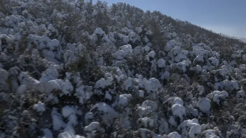 Mount Hermon 06 Stock Footage 123300021