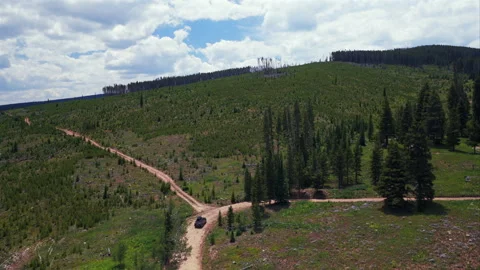Mount of the Holy Cross Notch Mountain creek Falls Creek Trail Half moon pass Stock Footage 316713200