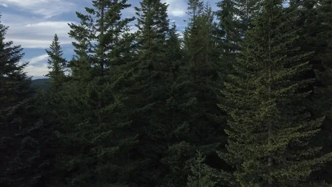 Mount Hood Oregon Stock Footage 98467000