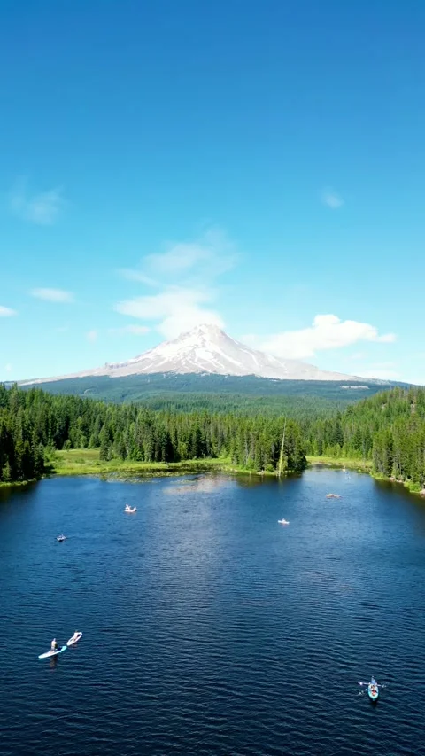 Mount Hood, Oregon - Vertical Stock Footage 307870876