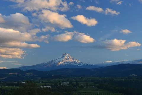 Mount hood Stock Photos