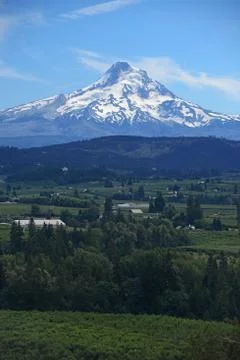 Mount hood Stock Photos