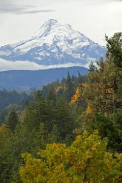 Mount Hood Foto stock