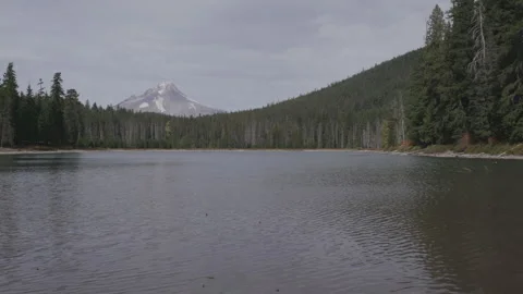 Mount Hood view from Frog Lake Minimal Snow Stock Footage 333424580