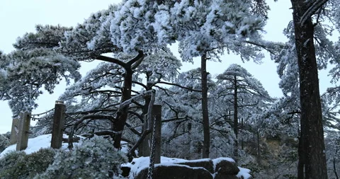 Mount Huangshan in snow Stock Footage 125319436