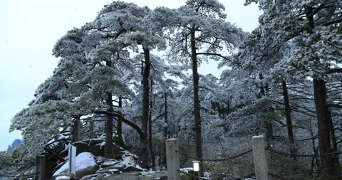 Mount Huangshan in snow 库存影片 125539100