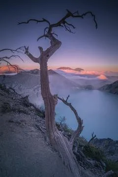 Mount Ijen is a volcano located on the border of Banyuwangi Regency and Bon.. Stock Photos