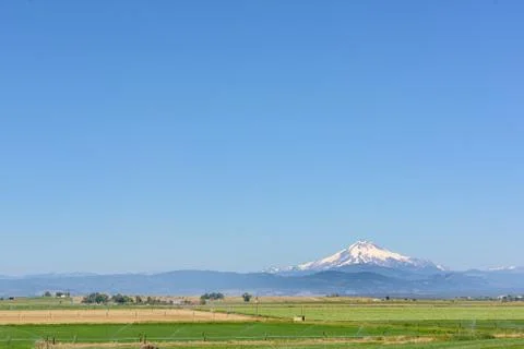 Mount Jefferson mountain range seen across Oregon wheat field plains, Oregon, Stock Photos