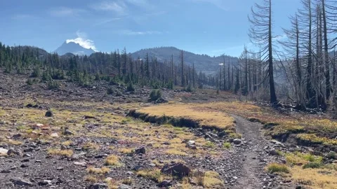 Mount Jefferson Wilderness Backpacking PCT Stock-Footage 329457786