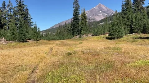 Mount Jefferson Wilderness backpacking: view from a meadow Video stock 329457546