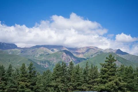 Mount Kazbegi in the clouds with pine trees in front Stock Photos