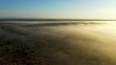 Mount Kilimanjaro behind an Acacia Tree landscape and mist 11 Stock Footage 177444853