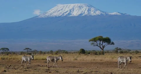 Mount Kilimanjaro Video stock 60377269