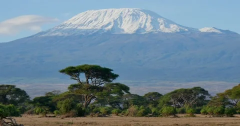 Mount Kilimanjaro Video stock 60377355