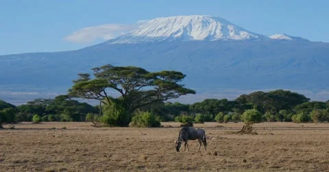 Mount Kilimanjaro Stock Footage 60377418