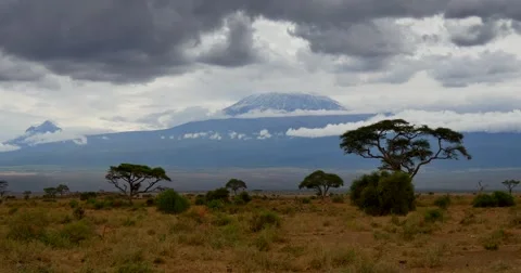 Mount Kilimanjaro Stock Footage 60377746