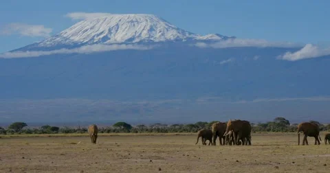Mount Kilimanjaro Stock Footage