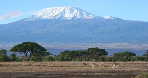 Mount Kilimanjaro Stock Footage