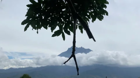 Mount Kinabalu framing shot Stock Footage 146661568