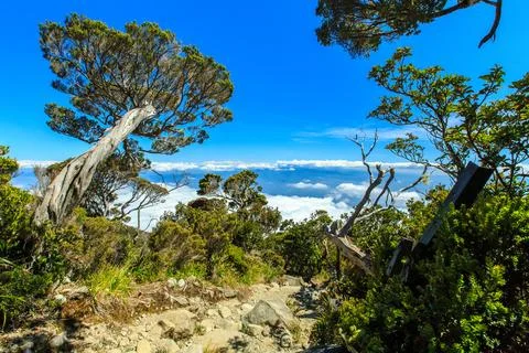 Mount Kinabalu scenery. Stock Photos
