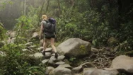 Mount Kinabalu Trek Woman Hiking Slow Motion Stock Footage