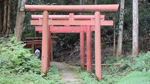 Mount Koya nature landscape Stock-Footage 79273138