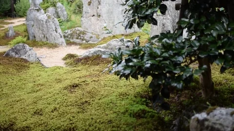 Mount Koya nature landscape Stock Footage 79273309