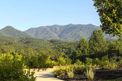 Mount La Conte with Walkway Stock-Fotos