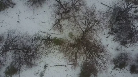 Mount Laguna, CA - Drone Video Video stock 83051296