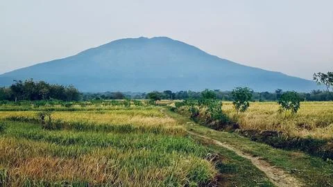 Mount Lawi 스톡 사진