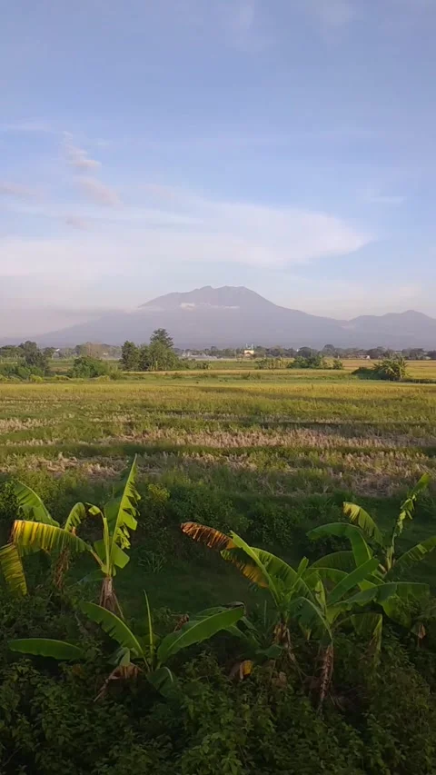 Mount Lawu Stock Footage 258359473