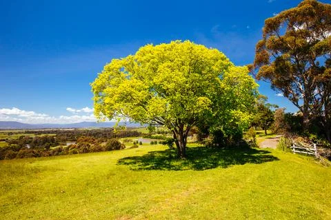 Mount Lofty Circuit Walk in Melbourne Australia Stock Photos