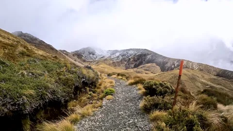 Mount Luxmore on the Kepler Track with Mountain Ridge views across the Sout.. Stock-Footage 295242645