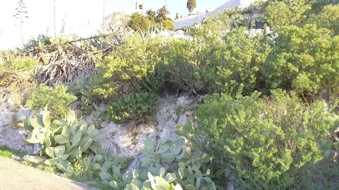 Mount Lycabettus Stock Footage 86347521