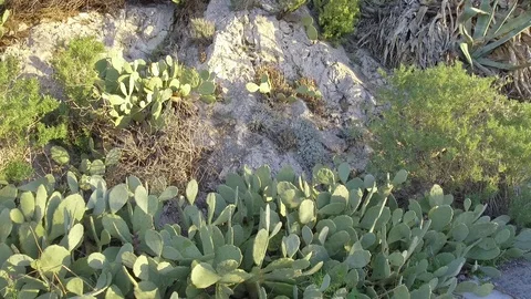 Mount Lycabettus Stock Footage 86347757