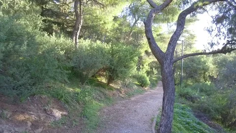 Mount Lycabettus Stock Footage 86348008