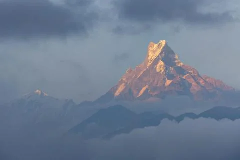 Mount Machhapuchchhre in evening soft sun light 스톡 사진